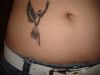 bird tattoo on stomach